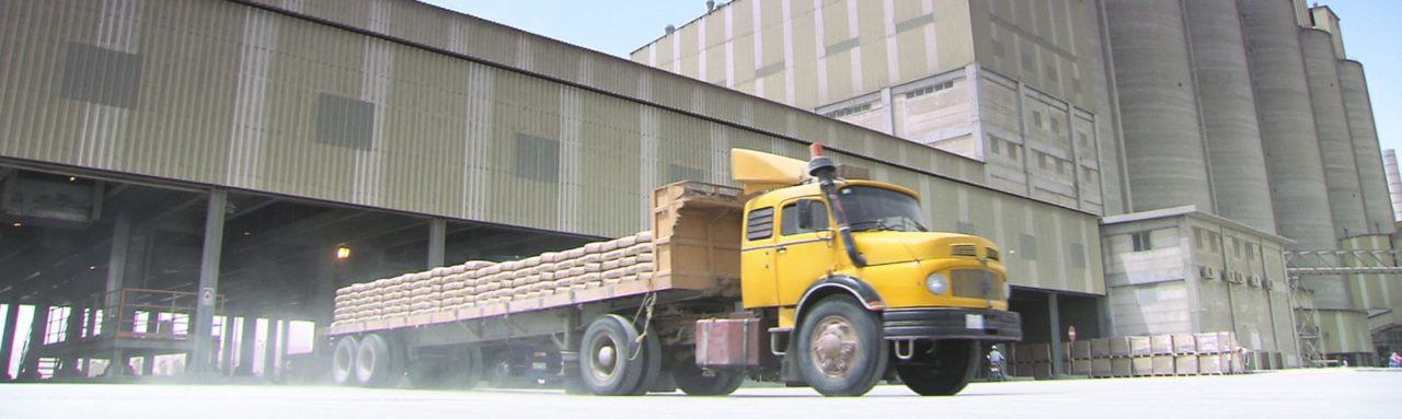 Bag Loader and Transport